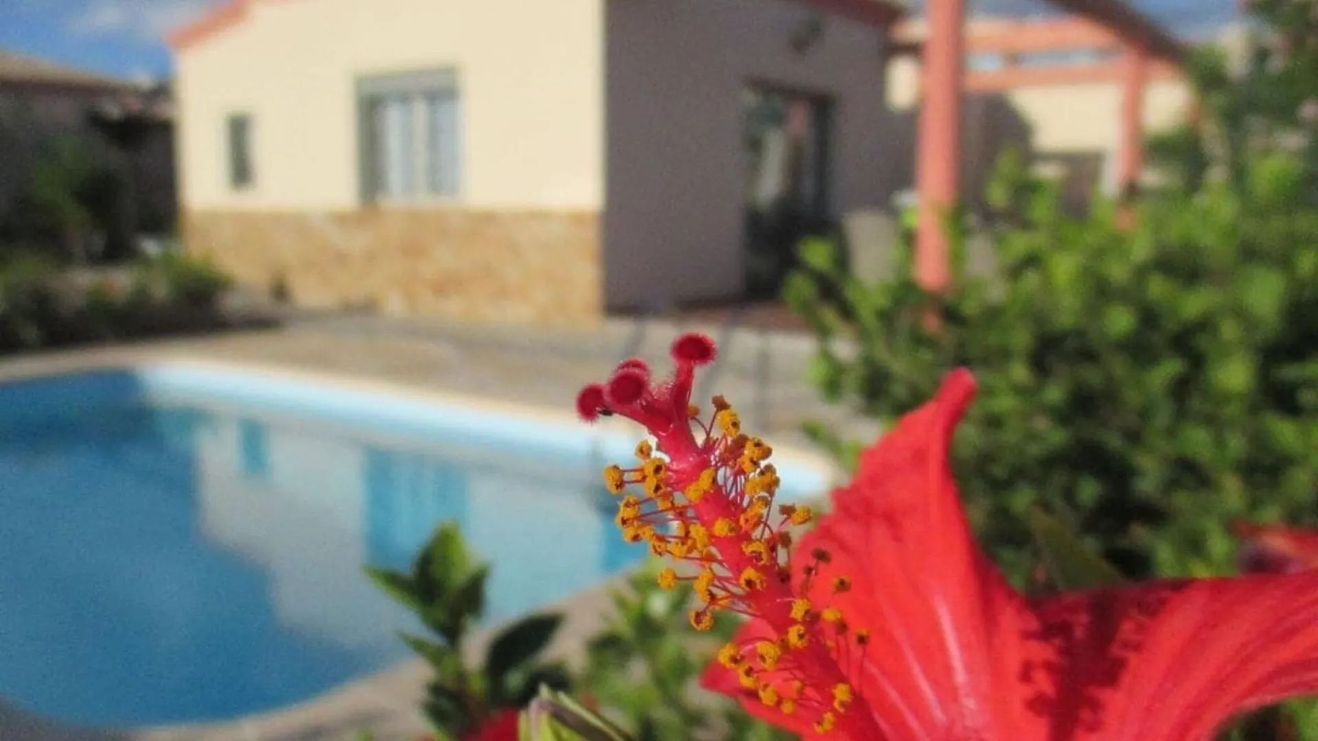 Chalet Villa Romeo Comfortable Holiday Residence Costa Calma España